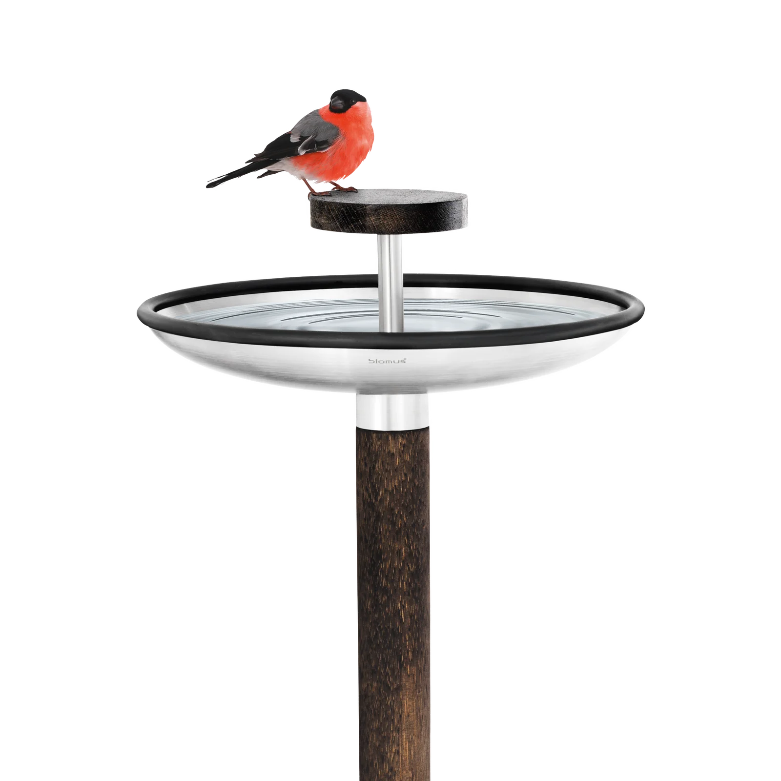 FUERA Vogel-Rastplatz Stainless Steel Matt / Wood