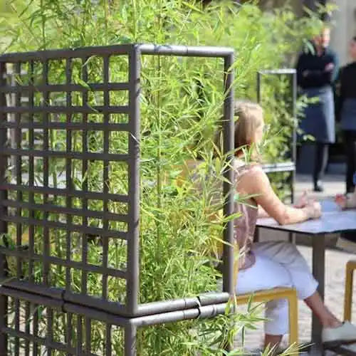 Bambus-Gitters mit Gitterdesign und natürlicher grüner Farbe.