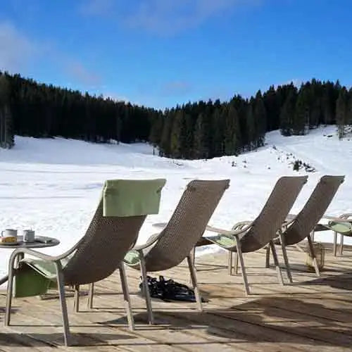 Gebräune und grüne Liegestühle mit Metallrahmen, gepolsterten Sitzen und Rückenlehnen.