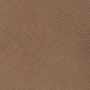 551 Faunal Brown