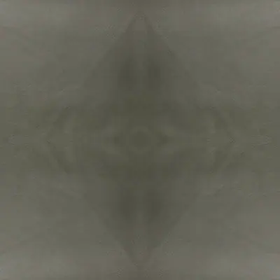 Sauvage 26
