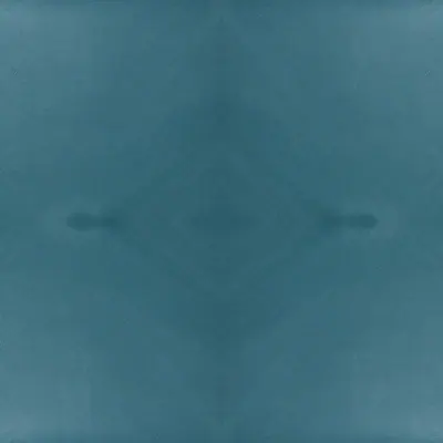 Sauvage 42