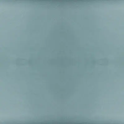 Sauvage 44