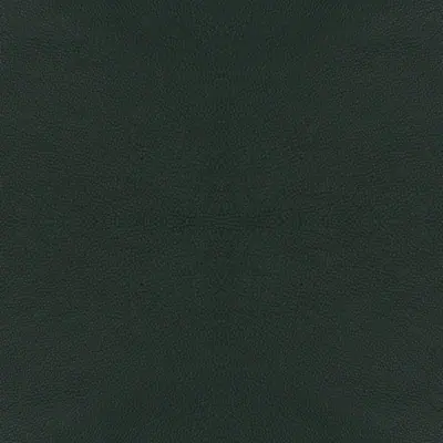 Bolzano 46