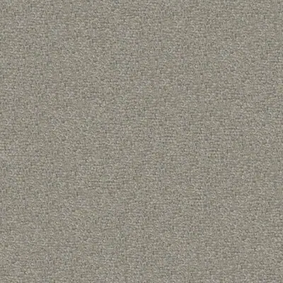 Venere 1060