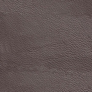 Savoy – Semianilines Glattleder (Dickleder) 0962