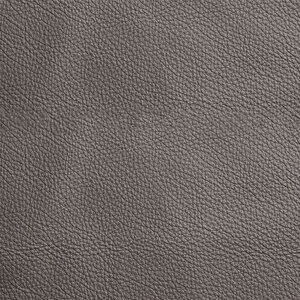 Savoy – Semianilines Glattleder (Dickleder) 0965