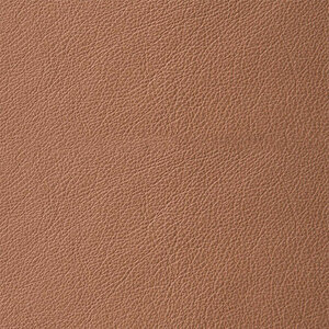 Savoy – Semianilines Glattleder (Dickleder) 0970