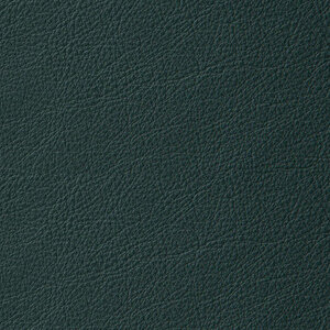 Savoy – Semianilines Glattleder (Dickleder) 0972