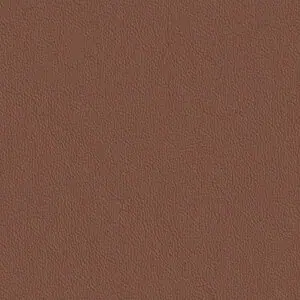 Omaha – Voll pigmentiertes Glattleder 0733