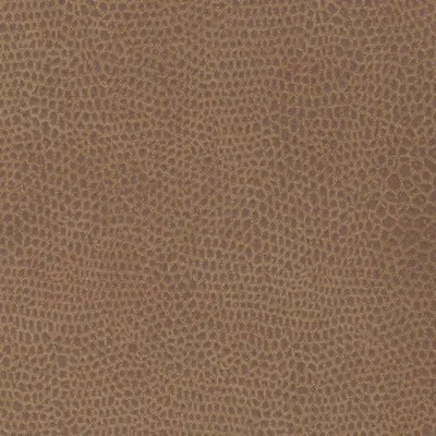 Faunal 551