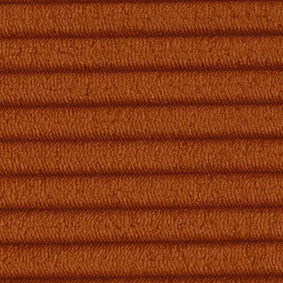 Corduroy 595