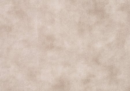 S41 – Longlife fabric by W.SCHILLIG 43