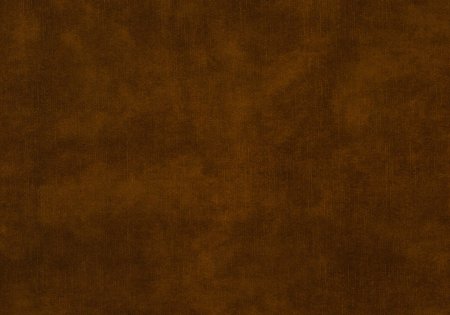 S41 – Longlife fabric by W.SCHILLIG 52