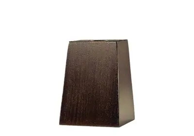 Beiztöne Buche furniert P54