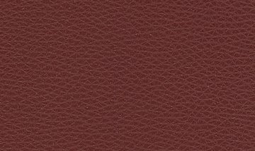 Leder LX
