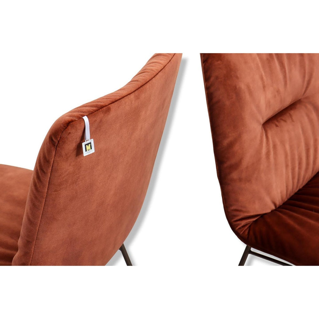 Willi Schillig LOTTA 11004 Stuhl- 2 er Set Stoff S41 copper