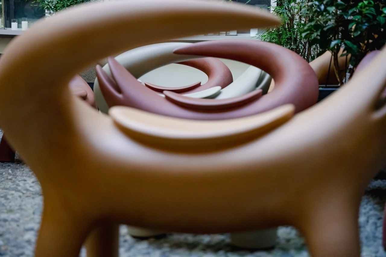 SLIDE BIG KROKO – Milieubild 5
