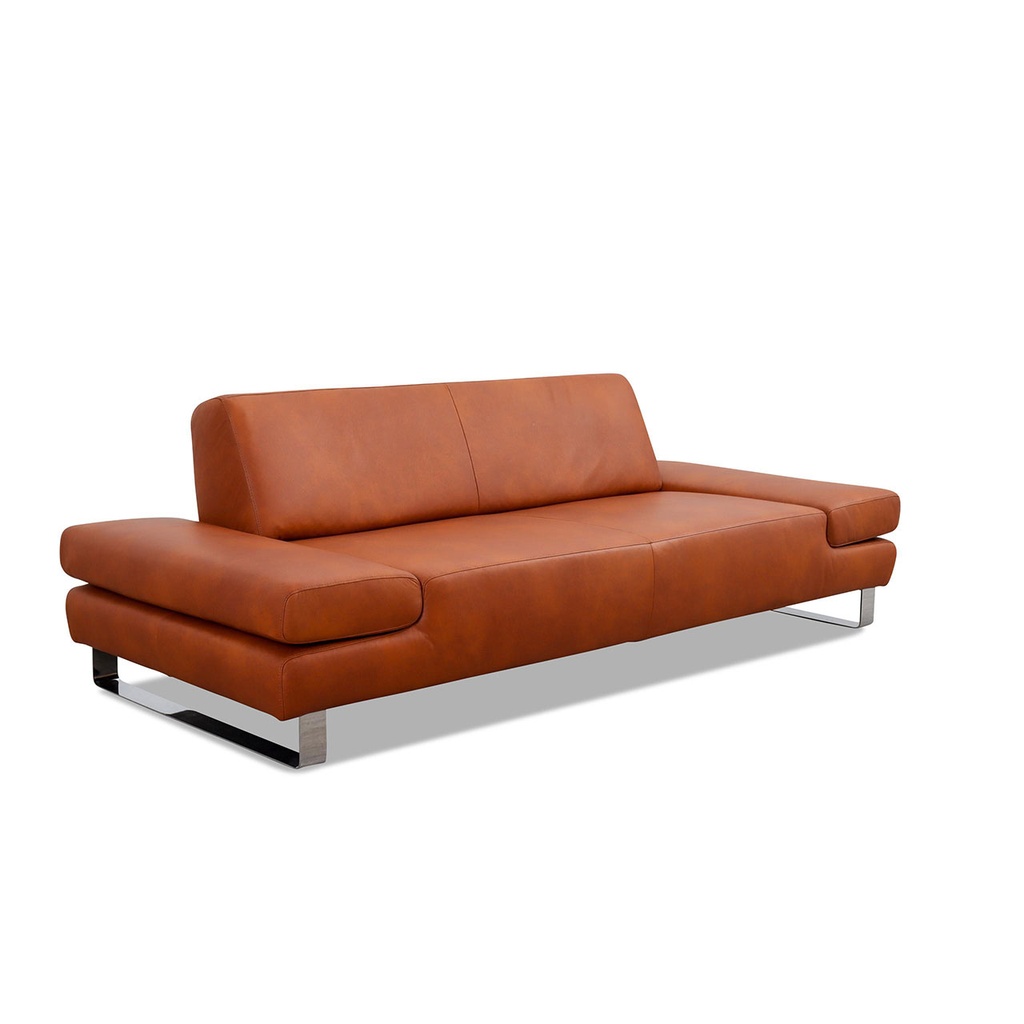 Willi Schillig 21106 Piedroo Sofa Leder Z69 (Kopie)