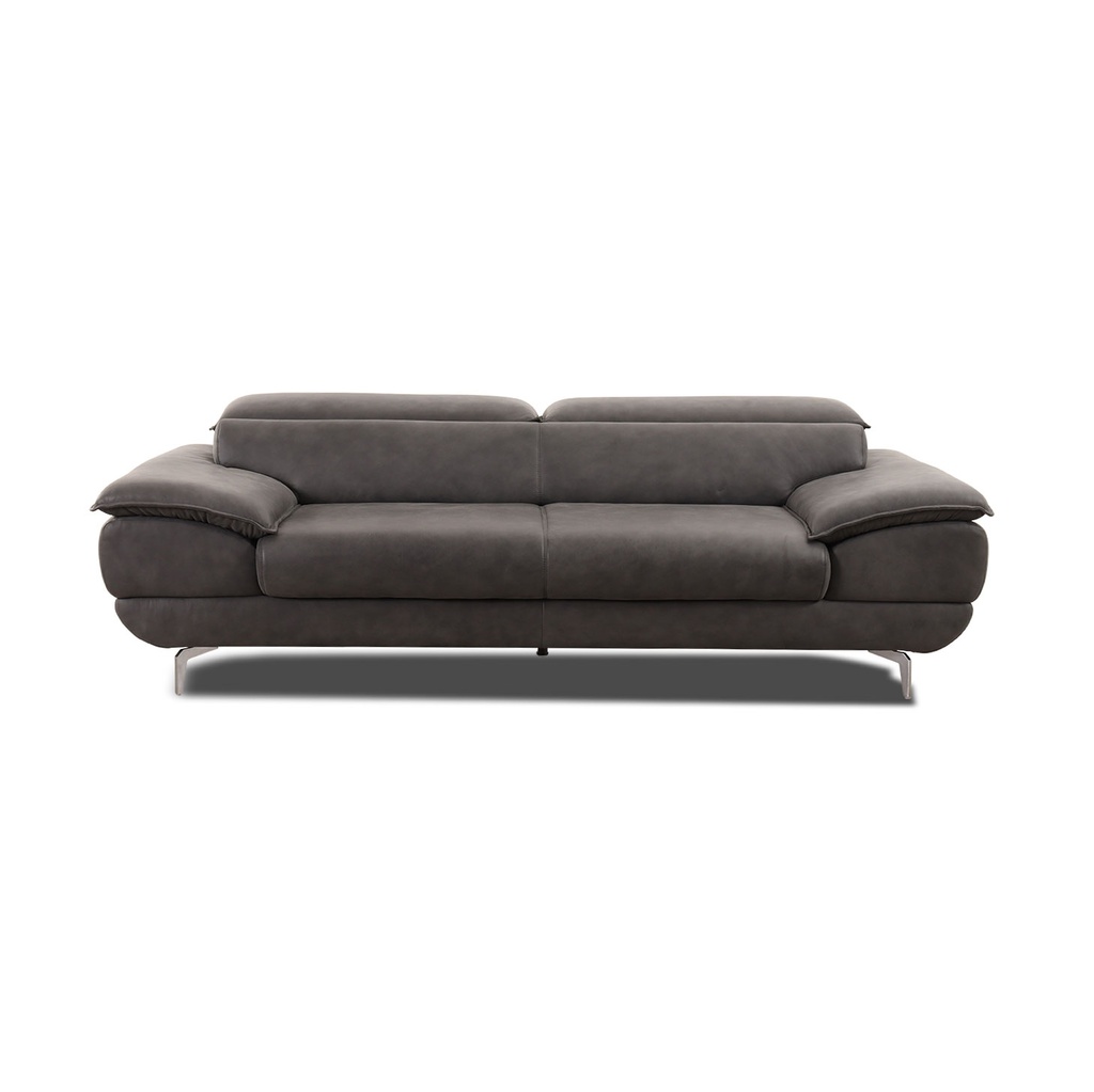 Willi Schillig Sofa 21105 exklusiv HOYA in Leder Z69 anthrazit